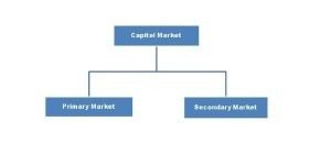 capital market